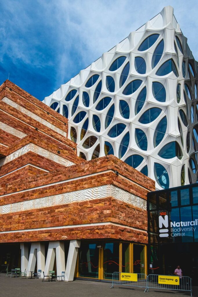 Grote upgrade voor de Atlantis omgeving van Naturalis